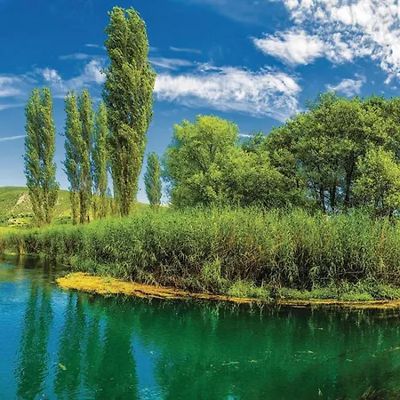 Amazing In With Wifi *