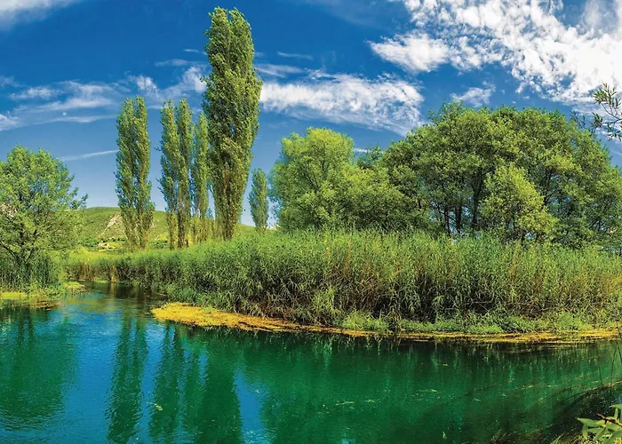 Amazing In With Wifi *